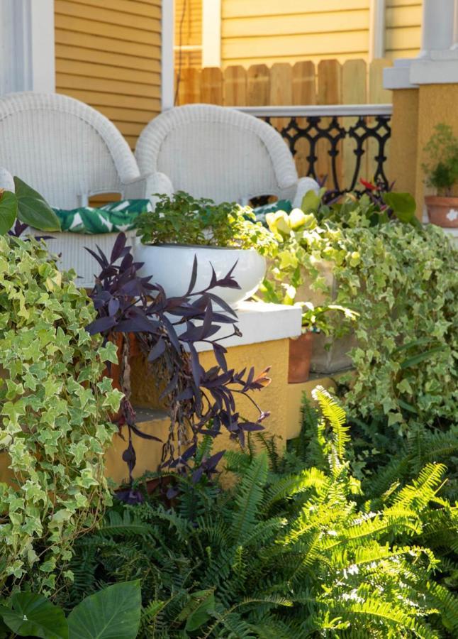 Auld Sweet Olive Bed And Breakfast Ню Орлиънс Екстериор снимка