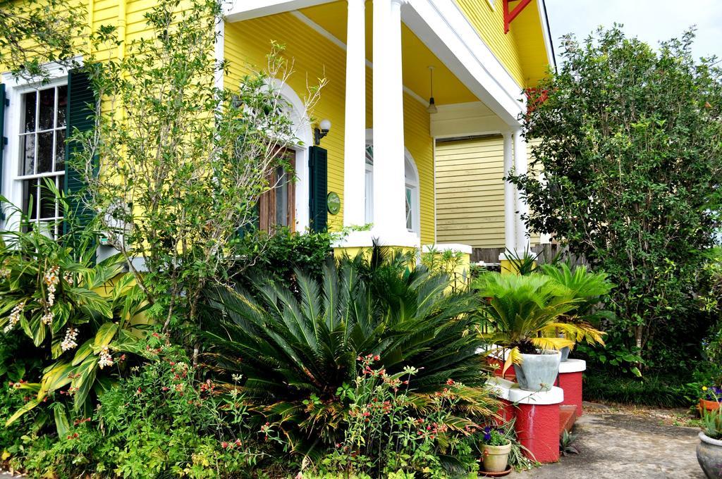 Auld Sweet Olive Bed And Breakfast Ню Орлиънс Екстериор снимка